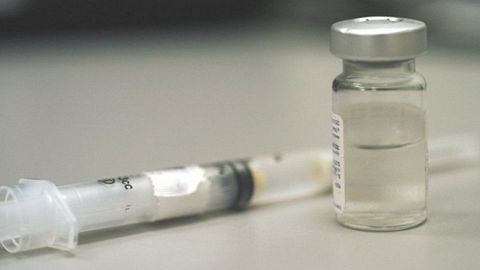 Vaccinuri anti-rabice cumpărate de Primării